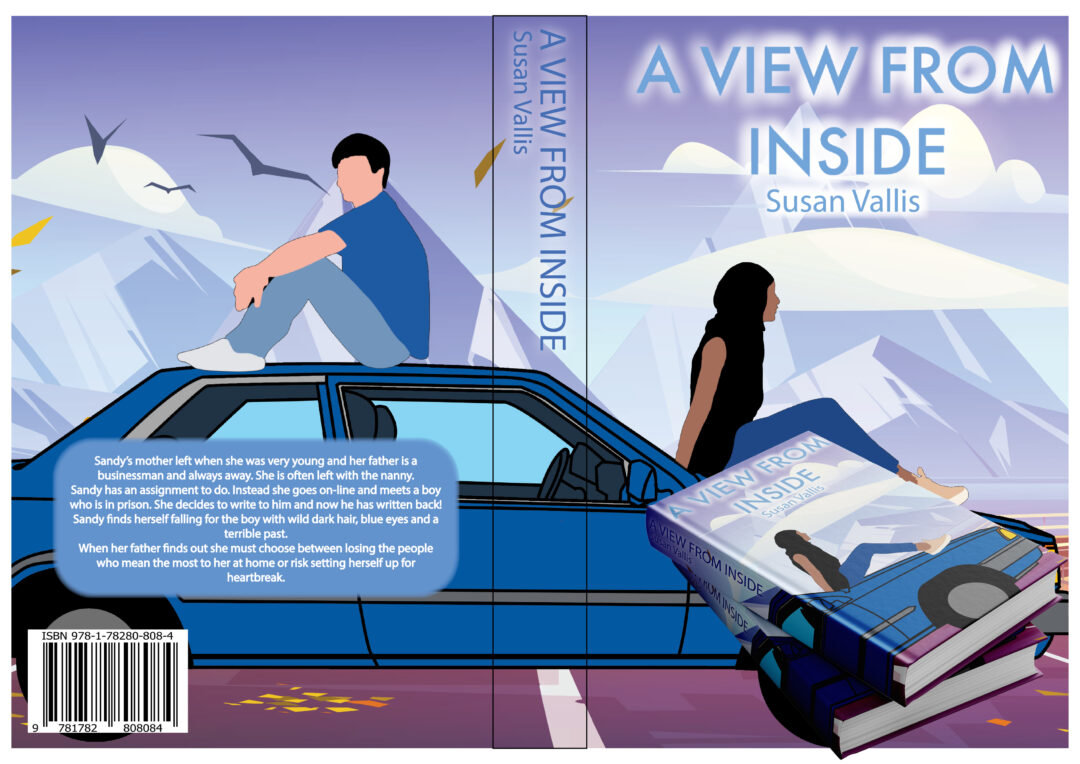 A view From Inside – Susan Vallis Cover Illustration